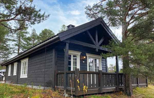 Kuća-za-odmor - Bjorli , Norveska - N31479 81