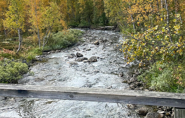 Holiday Home - Bjorli , Norway - N31494 905