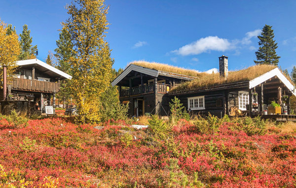 Vakantiehuis Vinstra, Noorwegen