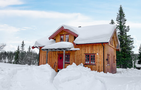 Ferienhaus - Aust- Torpa , Norwegen - N31516 1