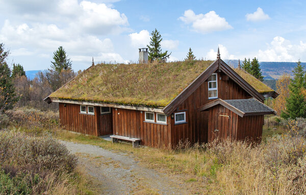 Feriehus - Venabygd/Ringebu , Norge - N31519 82