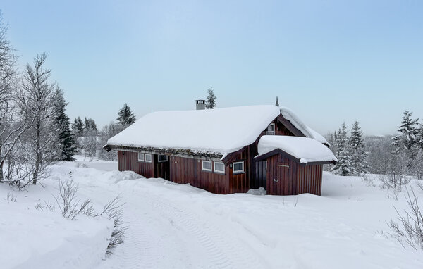 Feriehus - Venabygd/Ringebu , Norge - N31519 1