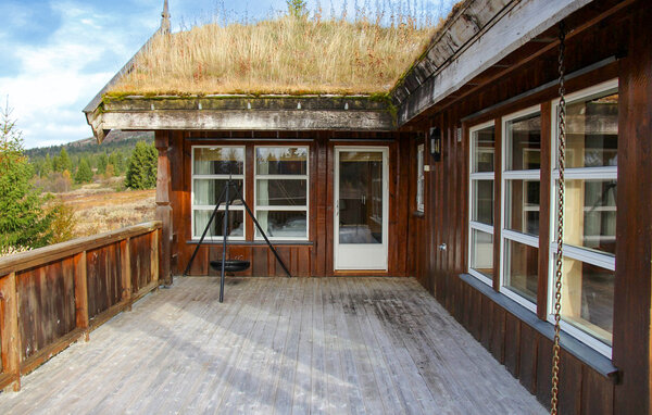 Feriehus - Venabygd/Ringebu , Norge - N31519 101