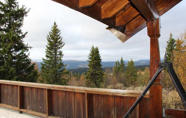 Feriehus - Venabygd/Ringebu , Norge - N31519 201