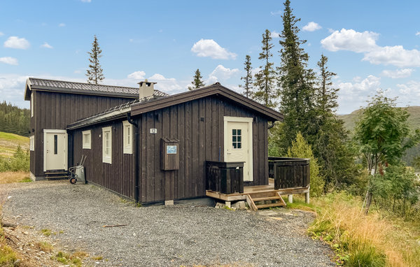 Domy wakacyjne - Synnfjell /Nord-Torpa , Norwegia - N31548 1