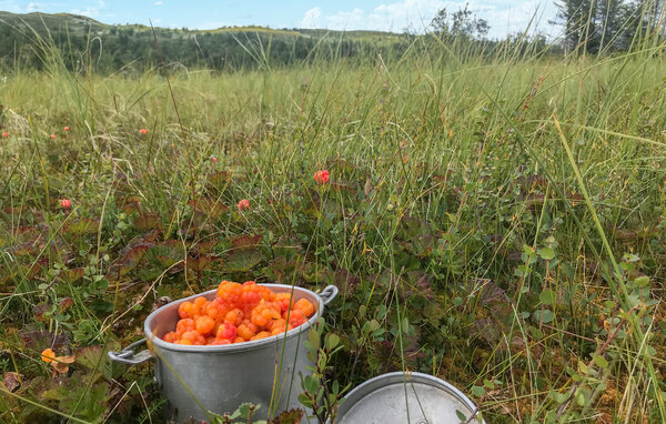 Casa de vacaciones - Synnfjell/Nordre Land , Noruega - N31585 904