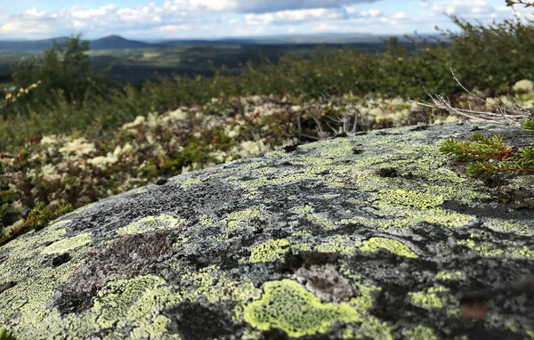 Casa de vacaciones - Synnfjell/Nordre Land , Noruega - N31585 905