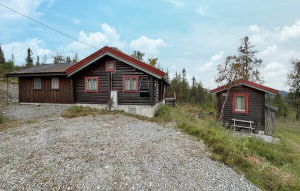 Casa de vacaciones - Synnfjell/Nordre Land , Noruega - N31585 1