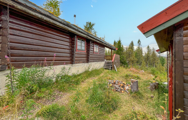 Casa de vacaciones - Synnfjell/Nordre Land , Noruega - N31585 7