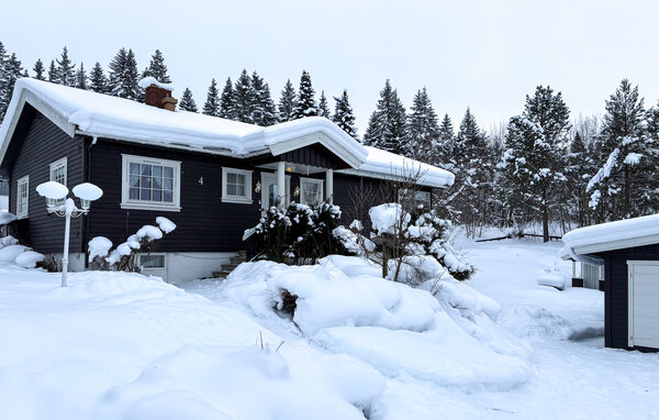 Casa vacanze - Gjøvik/Lena , Norvegia - N31587 1