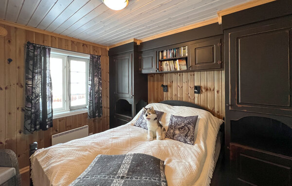 Ferienhaus - Synnfjell/ Nord- Torpa , Norwegen - N31642 601