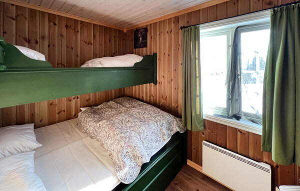 Ferienhaus - Synnfjell/ Nord- Torpa , Norwegen - N31642 602