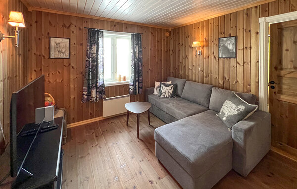 Ferienhaus - Synnfjell/ Nord- Torpa , Norwegen - N31642 8