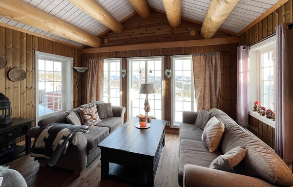 Ferienhaus - Synnfjell/ Nord- Torpa , Norwegen - N31642 3