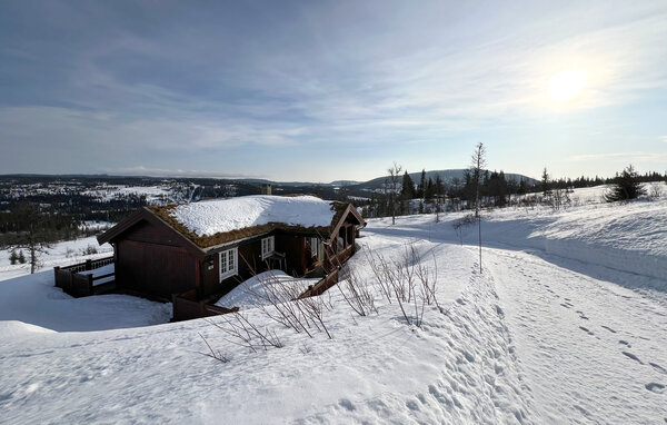 Ferienhaus - Synnfjell/ Nord- Torpa , Norwegen - N31642 1
