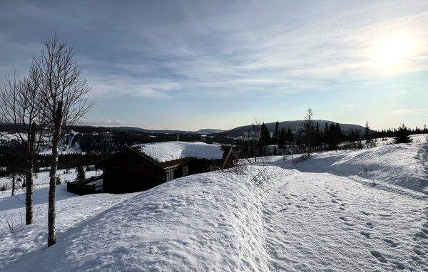 Ferienhaus - Synnfjell/ Nord- Torpa , Norwegen - N31642 81