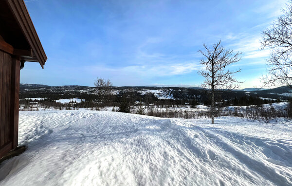 Ferienhaus - Synnfjell/ Nord- Torpa , Norwegen - N31642 201