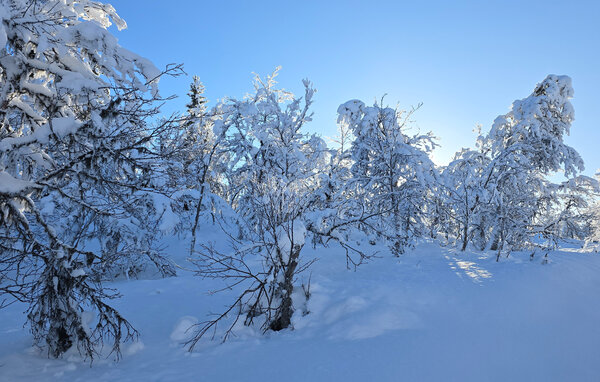 Vakantiehuis - Gålå , Noorwegen - N31645 101