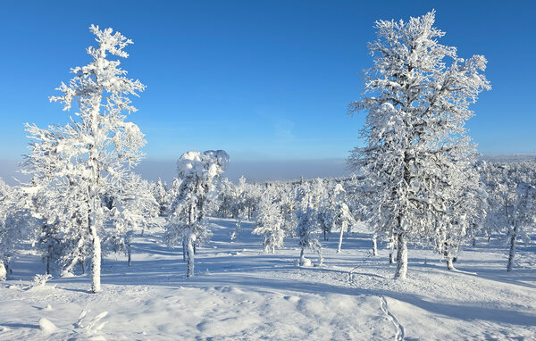 Vakantiehuis - Gålå , Noorwegen - N31645 102