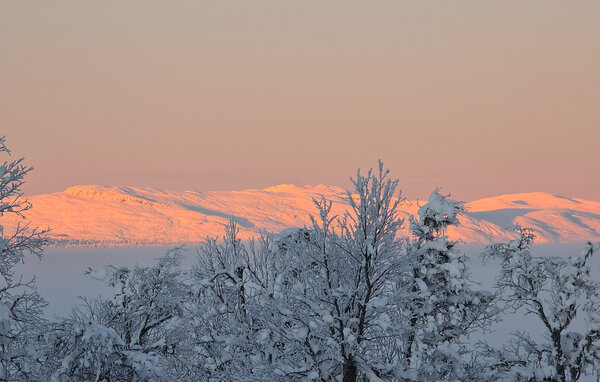 Vakantiehuis - Gålå , Noorwegen - N31645 204
