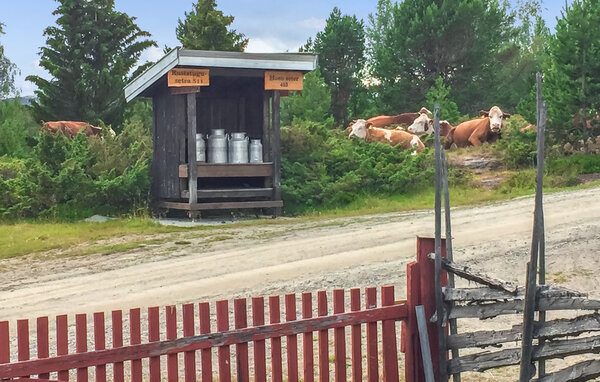 Feriehus - Kvam/Nord Fron , Norge - N31647 901