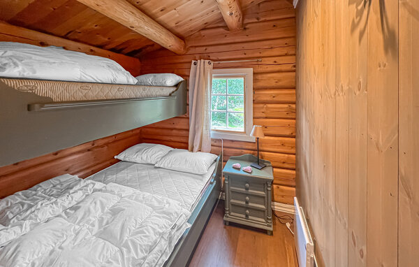 Casa vacanze - Skjåk , Norvegia - N31654 602