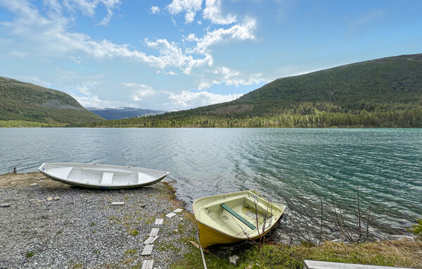 Casa vacanze - Skjåk , Norvegia - N31656 904