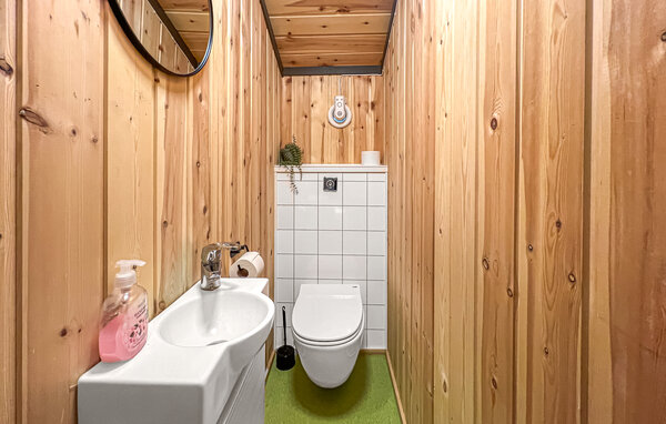 Holiday Home - Skjåk , Norway - N31657 702
