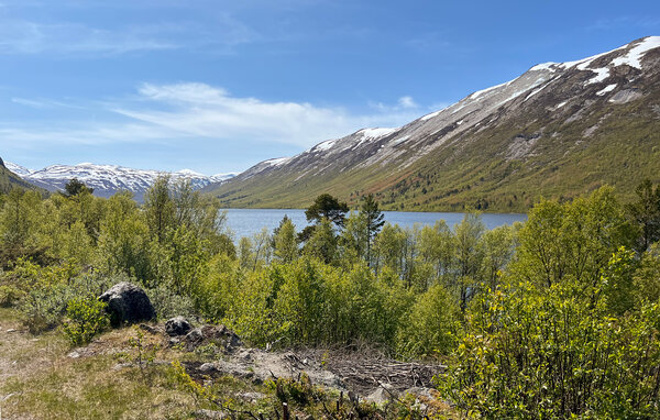 Domy wakacyjne - Skjåk , Norwegia - N31658 8