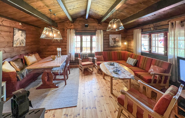 Domy wakacyjne - Skjåk , Norwegia - N31658 3