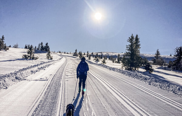 Ferieleilighet - Hafjell , Norge - N31664 901