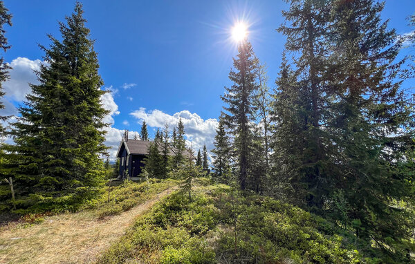 Holiday Home - Nord-Torpa , Norway - N31666 81