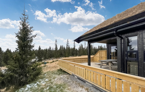 Ferienhaus - Sjusjøen , Norwegen - N31702 1