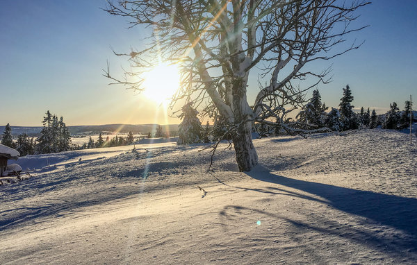 Apartament - Sjusjøen , Norwegia - N31703 7