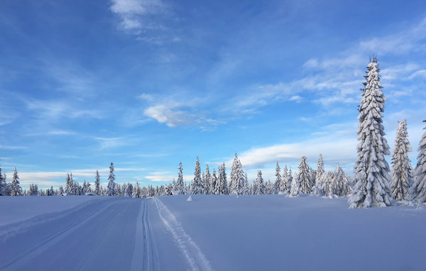 Apartament - Sjusjøen , Norwegia - N31703 901
