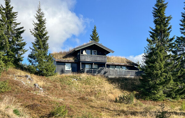 Ferienhaus - Sjusjøen , Norwegen - N31741 1