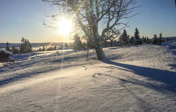 Feriehus - Sjusjøen , Norge - N31742 901
