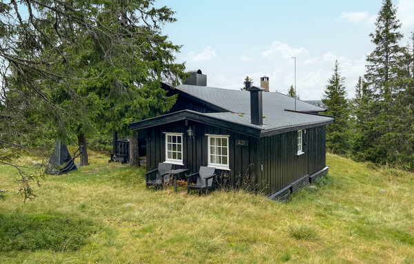 Ferienhaus - Sjusjøen , Norwegen - N31742 1