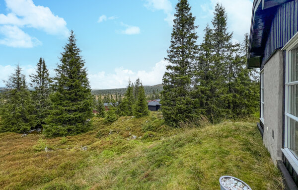 Feriehus - Sjusjøen , Norge - N31742 201