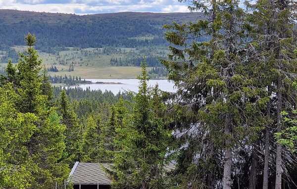 Vakantiehuis - Sjusjøen , Noorwegen - N31744 201