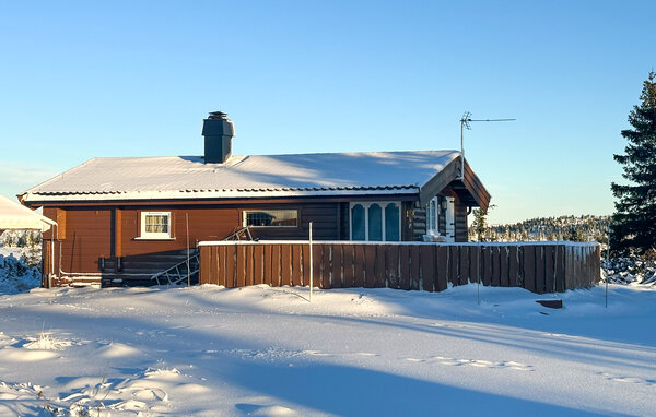 Ferienhaus - Sjusjøen , Norwegen - N31745 1