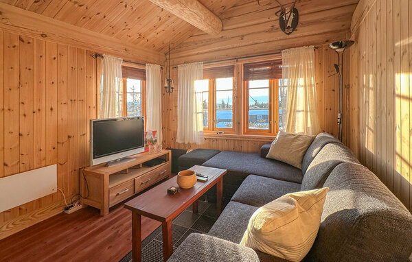 Ferienhaus - Sjusjøen , Norwegen - N31746 2