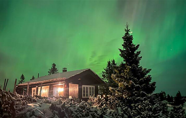 Ferienhaus - Sjusjøen , Norwegen - N31746 1