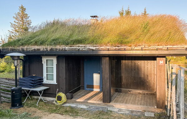 Semesterhus - Sjusjøen , Norge - N31746 101