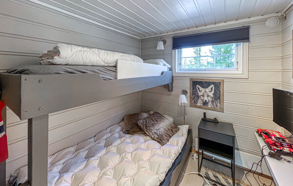 Ferienhaus - Sjusjøen , Norwegen - N31754 603