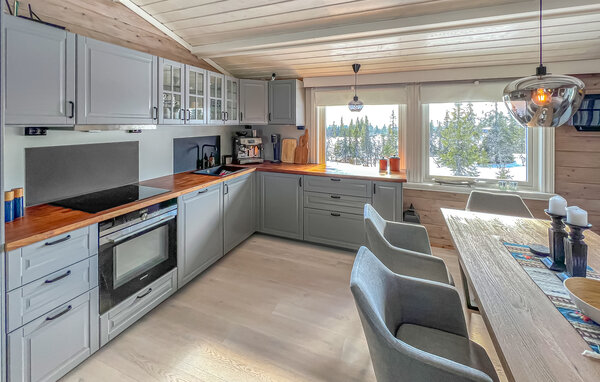 Ferienhaus - Sjusjøen , Norwegen - N31754 6