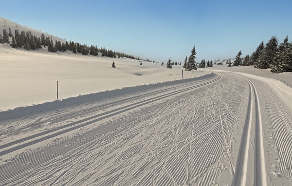 Semesterhus - Birkebeiner/Sjusjøen , Norge - N31756 901