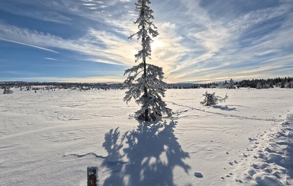 Semesterhus - Birkebeiner/Sjusjøen , Norge - N31756 902