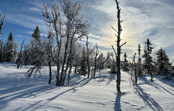 Semesterhus - Birkebeiner/Sjusjøen , Norge - N31756 903