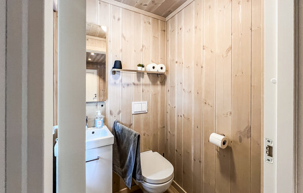 Semesterhus - Birkebeiner/Sjusjøen , Norge - N31756 702